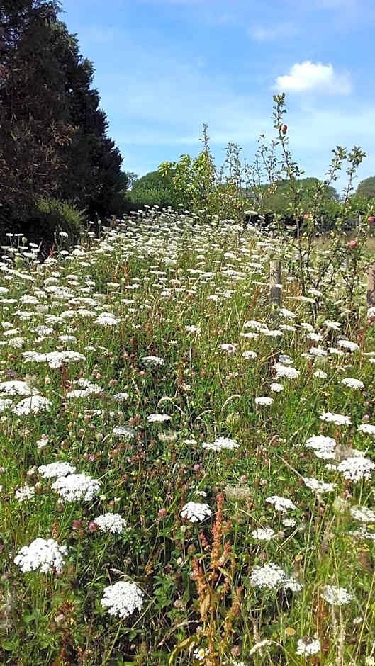 Green Bank Farmhouse