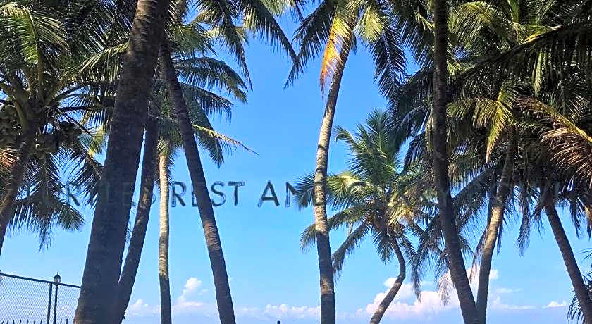 Curry Bowl Restaurant & Turtles Rest