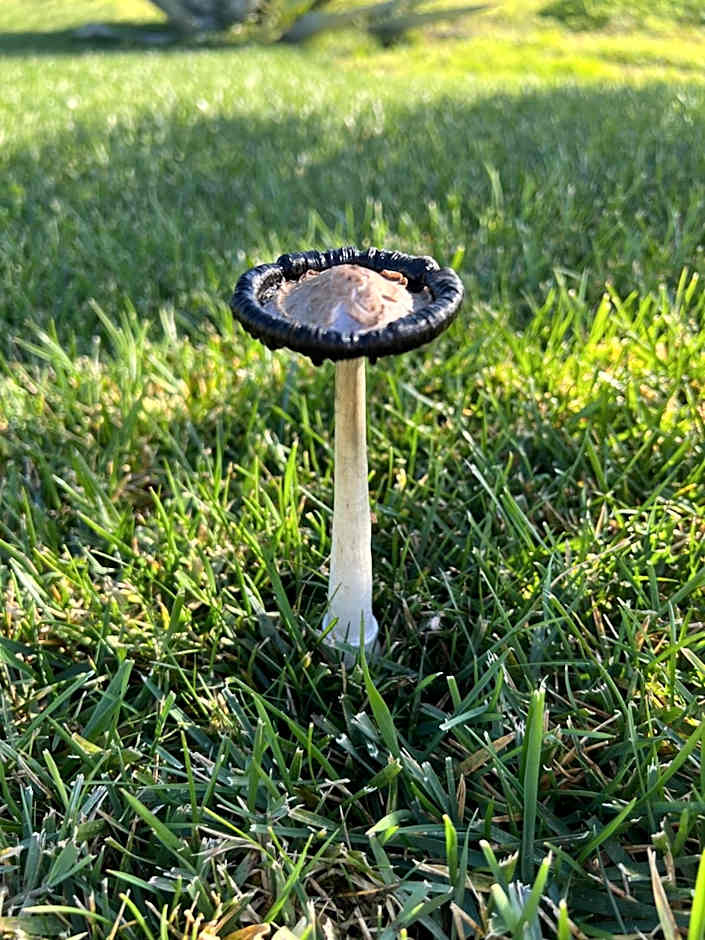 Quinta Saleiro Guesthouse