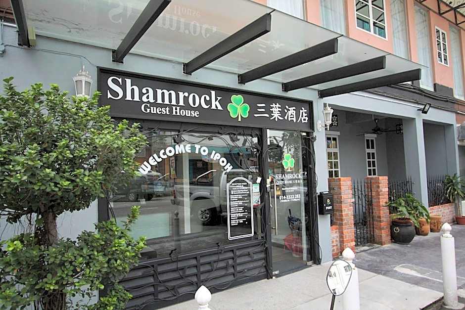 Shamrock Garden