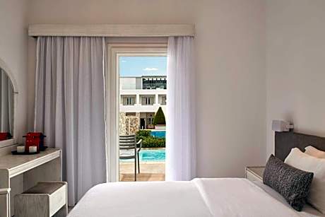 Double or Twin Room with Plunge Pool