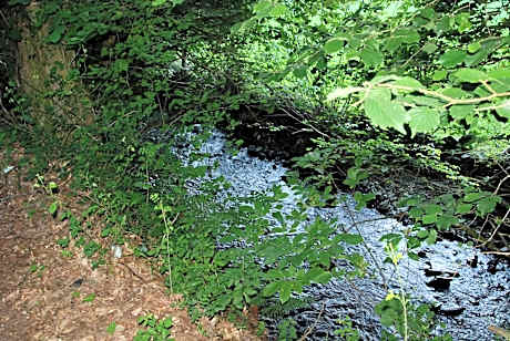 Albergue Casa Txakainlo
