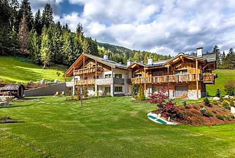 Alpine Mountain Chalet