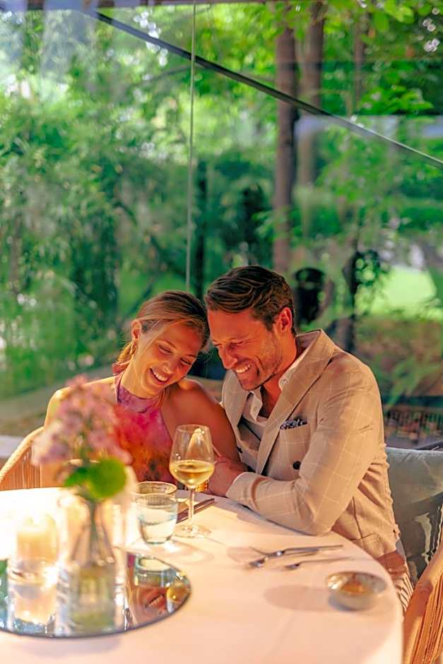 TreeLodgy, The Tree House