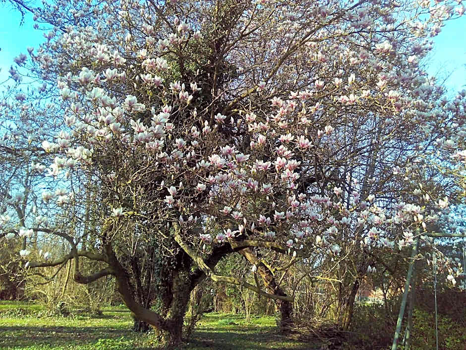 B&B Chatelet Cremers