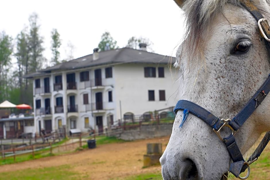 Favetto Family Ranch