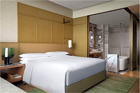 Standard ROH for Group, Guest room, King or Double