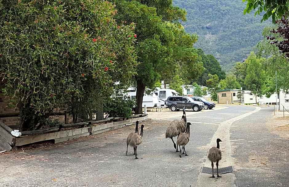 Breeze Holiday Parks - Halls Gap