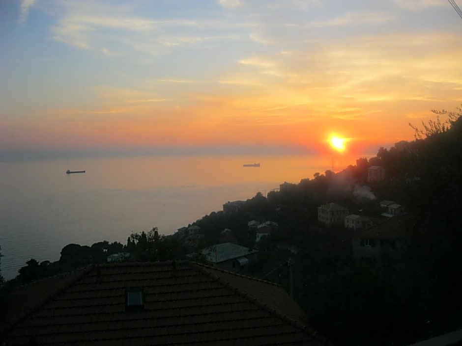 Il Gabbiano Di Pieve