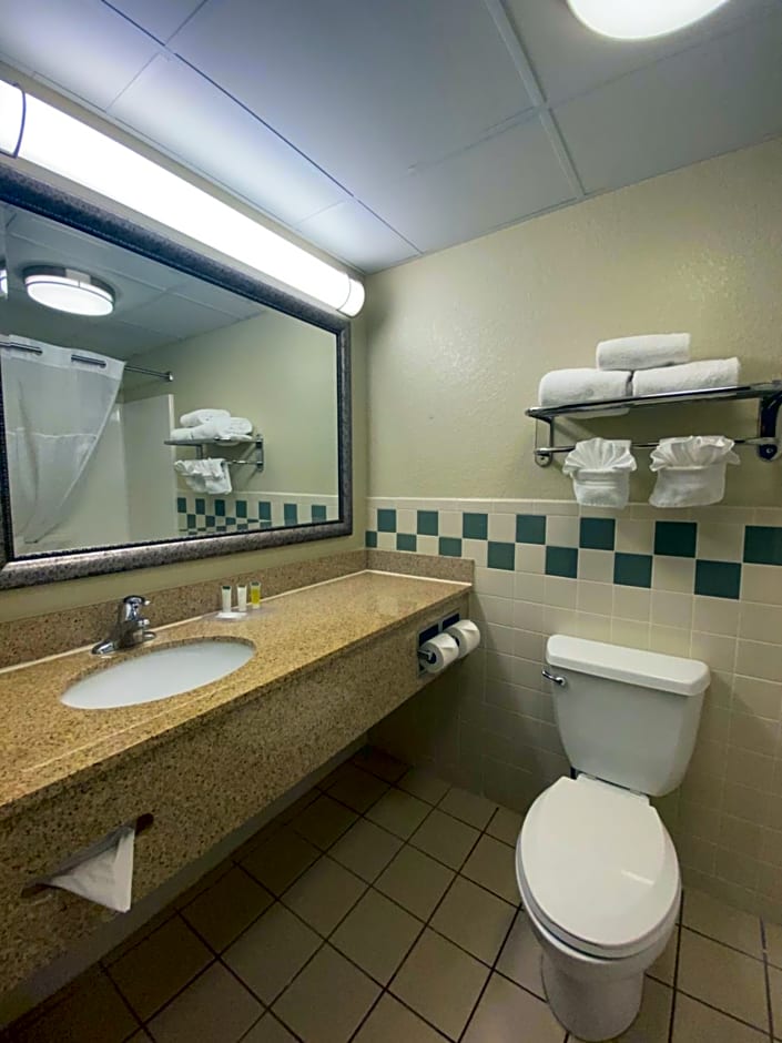 MountainView Lodge and Suites