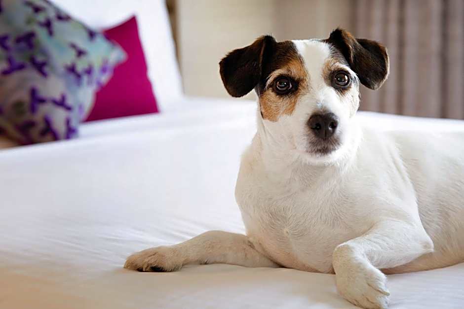 Coast Edmonton Plaza Hotel by APA