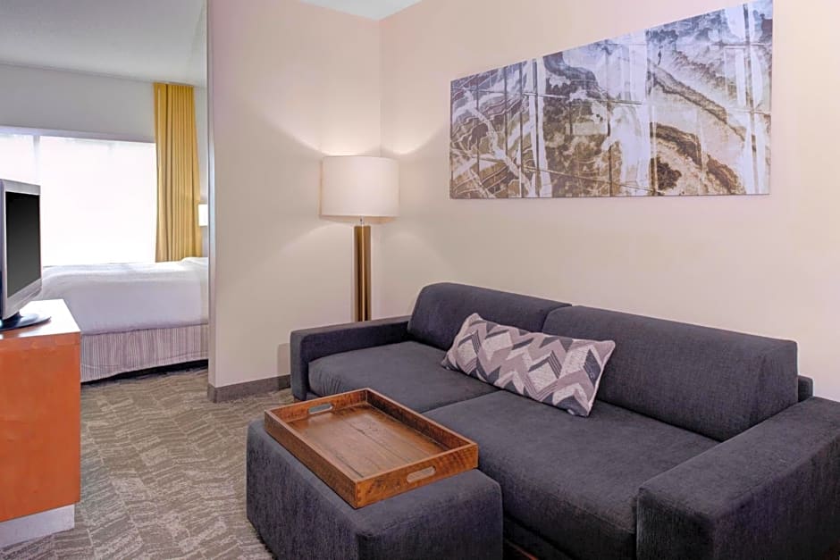 SpringHill Suites by Marriott Memphis East Galleria
