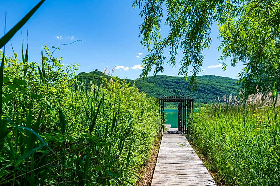 Hotel Goldene Traube