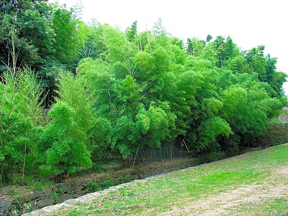 Hotel Convento dos Capuchos