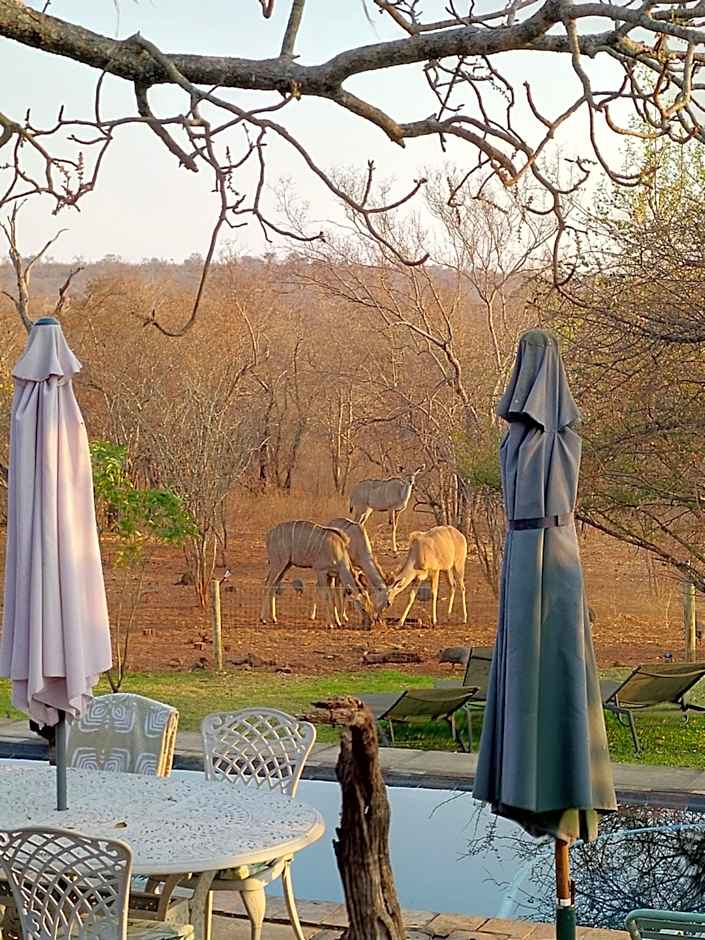 Call of the Wild Lodge