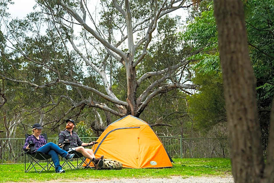 Discovery Parks - Lane Cove
