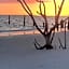 Estero Beach And Tennise Club 1008 B
