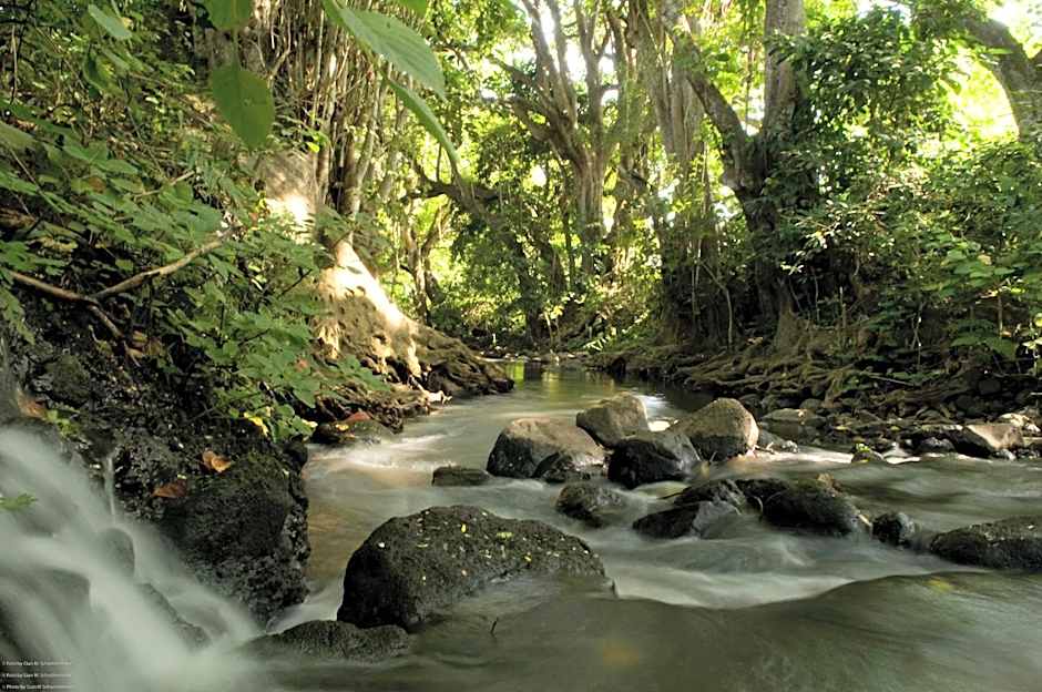 Rivertrees Country Inn