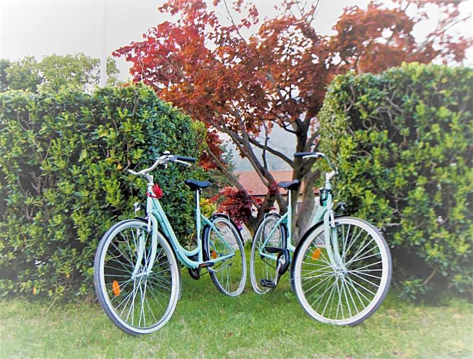 Hotel Bungalows Europa