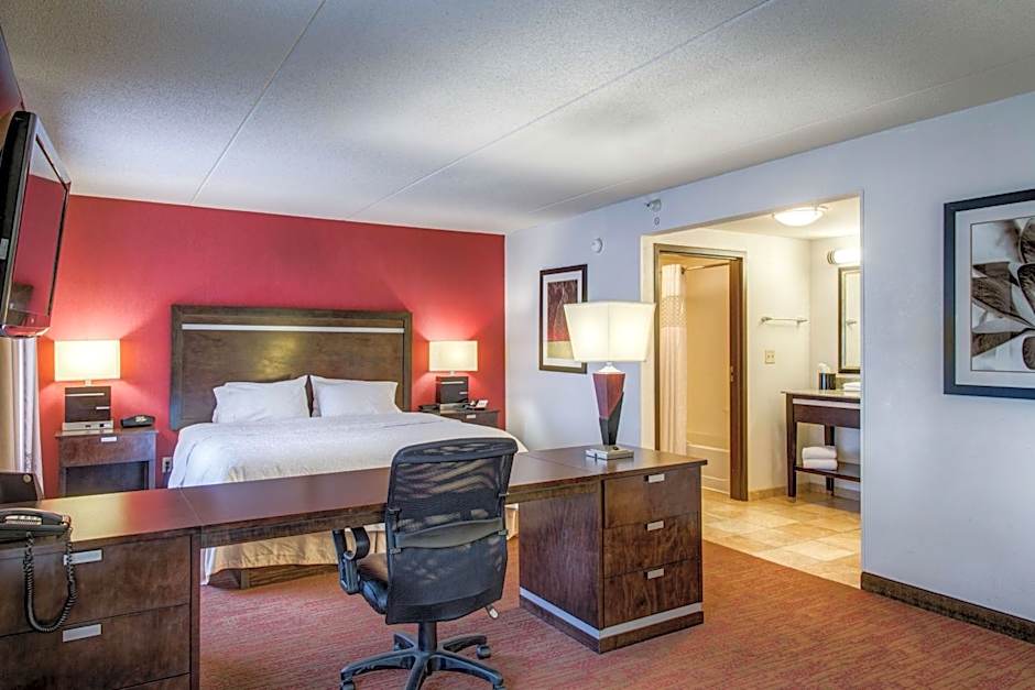 Hampton Inn By Hilton And Suites Detroit/Airport-Romulus