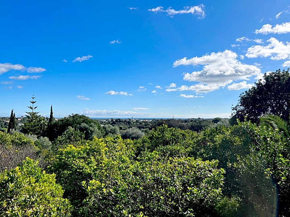 Quinta Saleiro Guesthouse