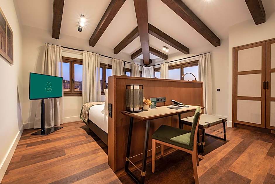 Áurea Toledo by Eurostars Hotel company