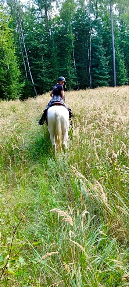 Stajnia Rajdowa Geronimo