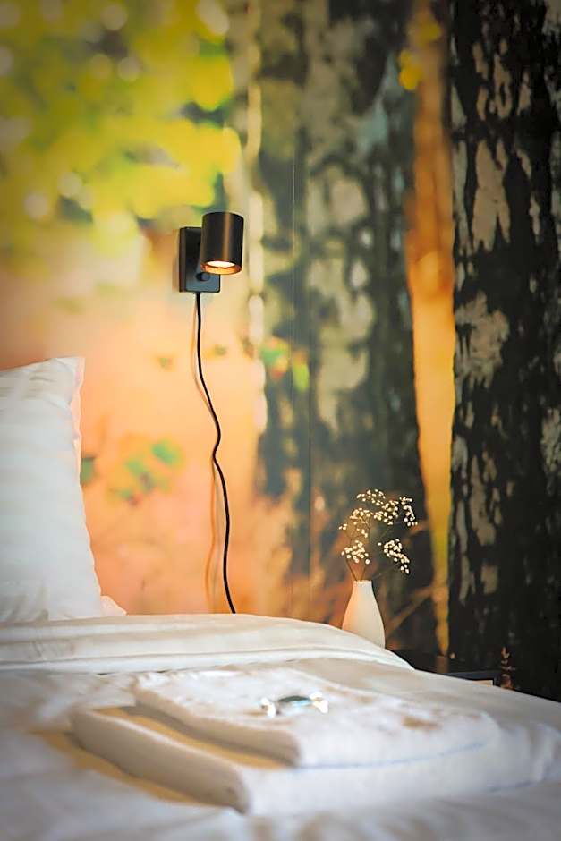 Park Hotel Liminka