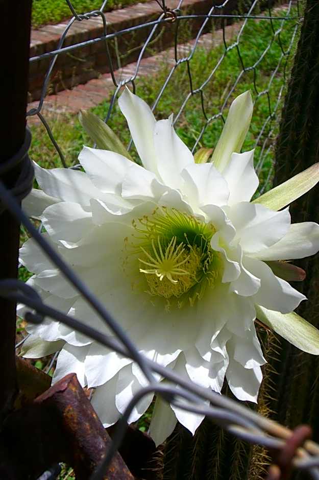 The Owlhouse Backpackers