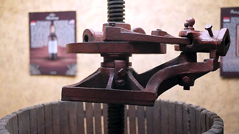 Garni Hotel Chicha - Winery ŠKRBIĆ