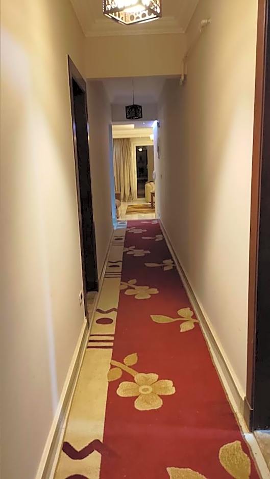 Modern Furnitured appartment in New Cairo