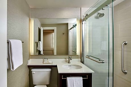 1 King Spacious Junior Suite