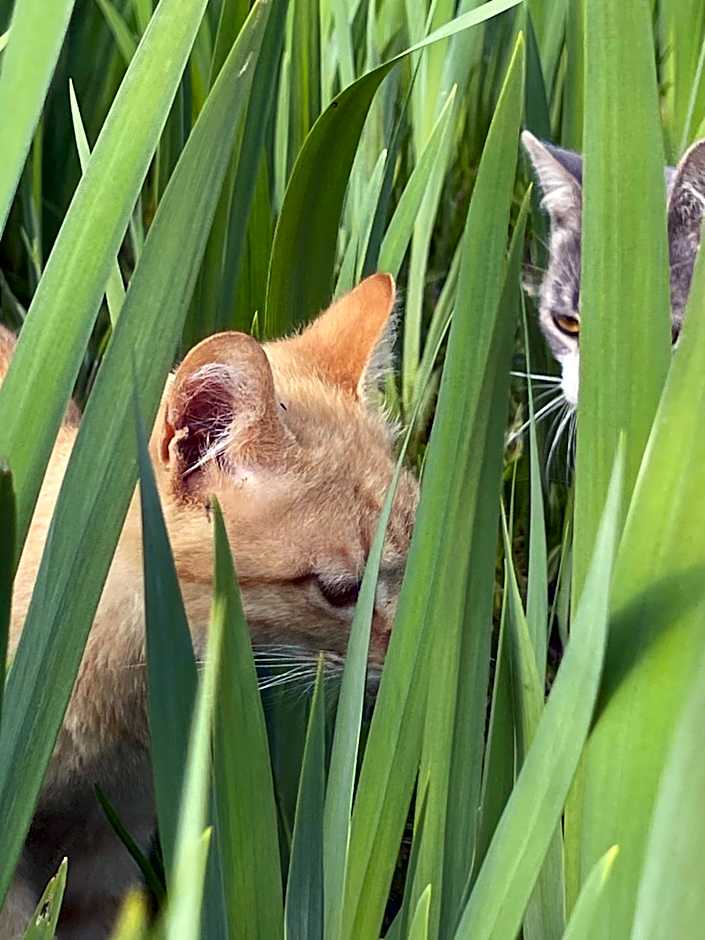 La Finestra sul Fiume