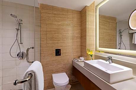 Terrace Suite with Lounge Access