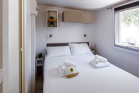 Lodge Dog (pet allowed with extra fee)