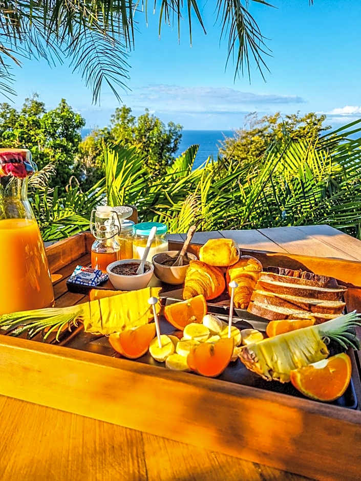 Maison d'hôtes Villa des Mascareignes