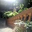 Tilia