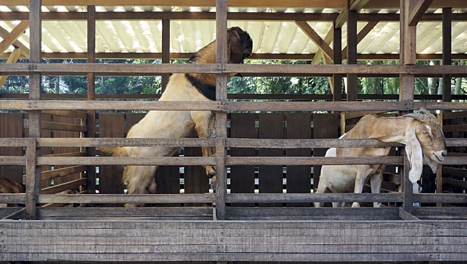 Mason Residence Syariah Ciawi