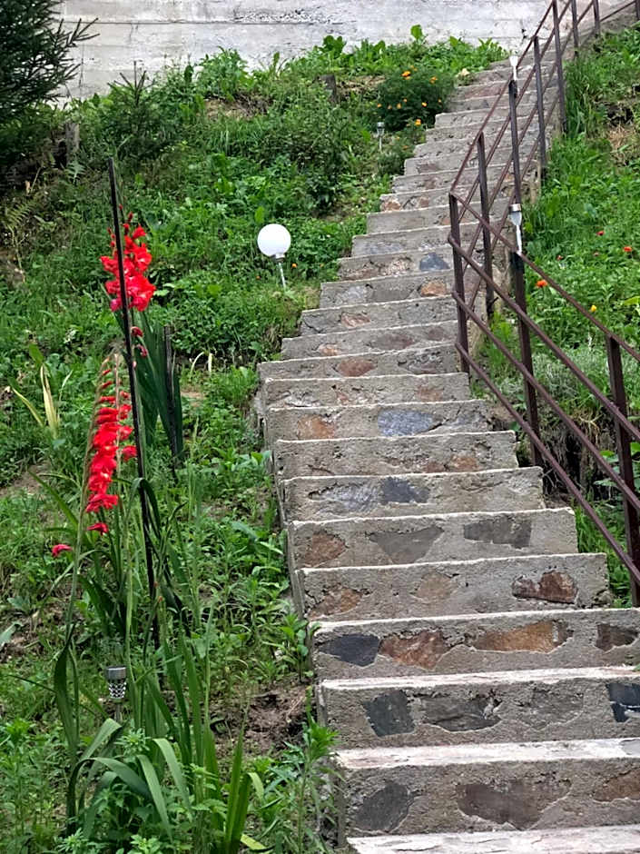 Cabana Zimbru Transfagarasan