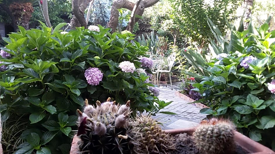 La Baronessa B&B