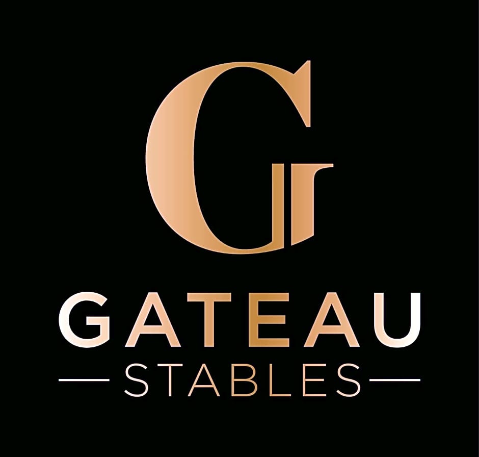 Ferme équestre & Chambres d'hôtes Gateau Stables proche Guédelon