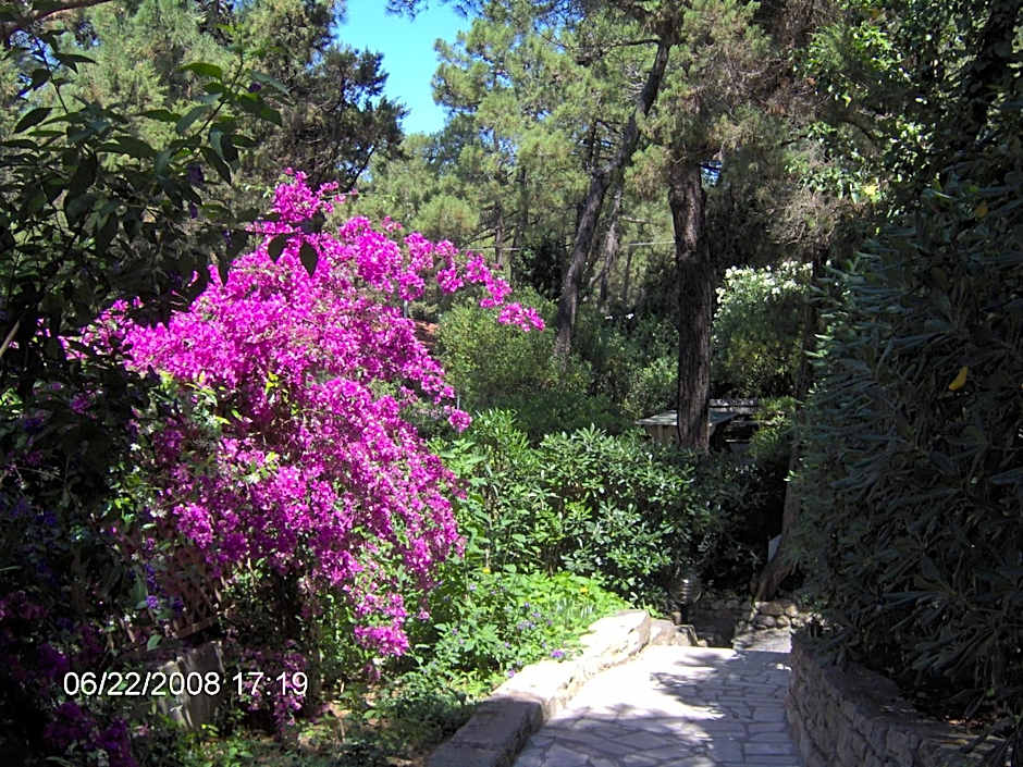 Residence Casa Di Caccia