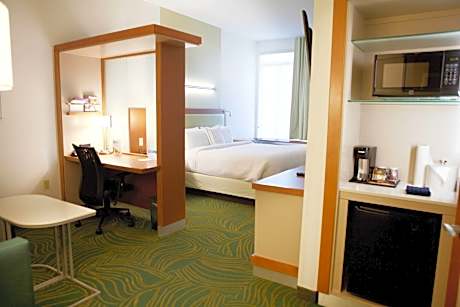 Suite, 1 King Bed with Sofa bed (1 King Bed and 1 Double Sofa Bed)