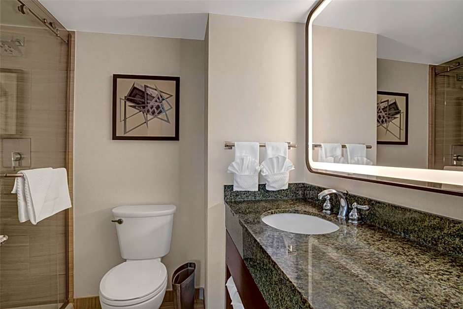 Hilton Crystal City At Ronald Reagan National Airport