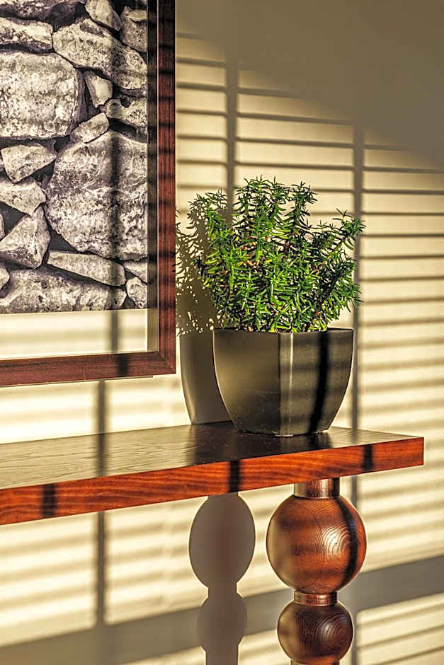 Hotel Dom Goncalo & Spa