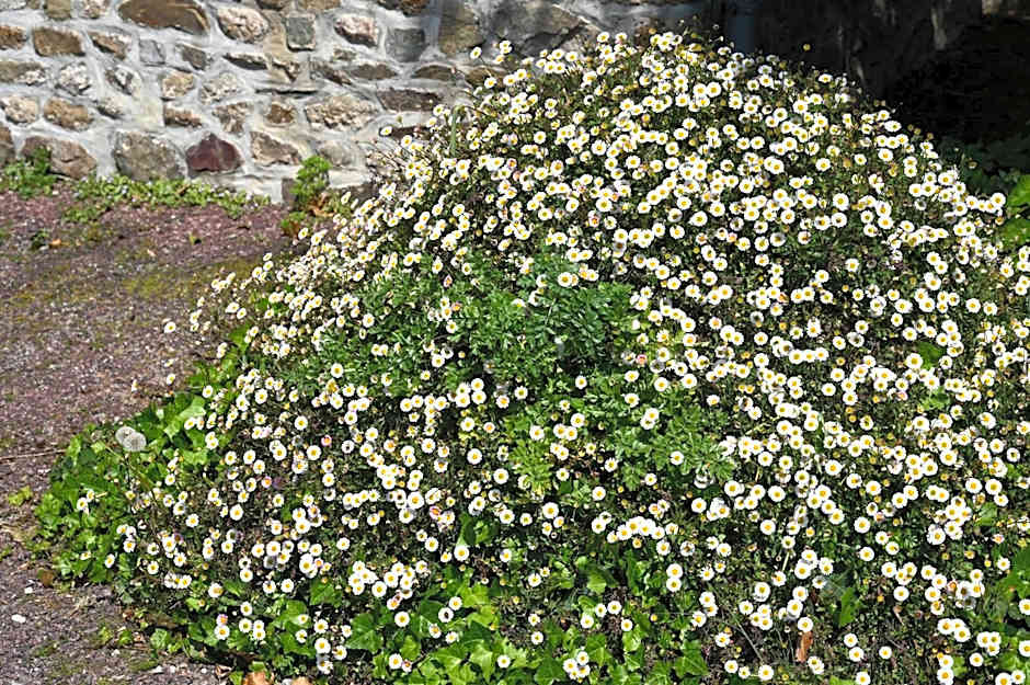 Logis Hôtel La Demeure du Perron