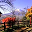 HAOSTAY