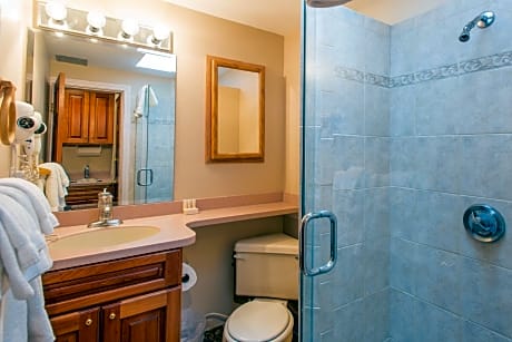 Standard Studio, 1 Queen Bed, Kitchen