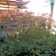 Maruka Ryokan