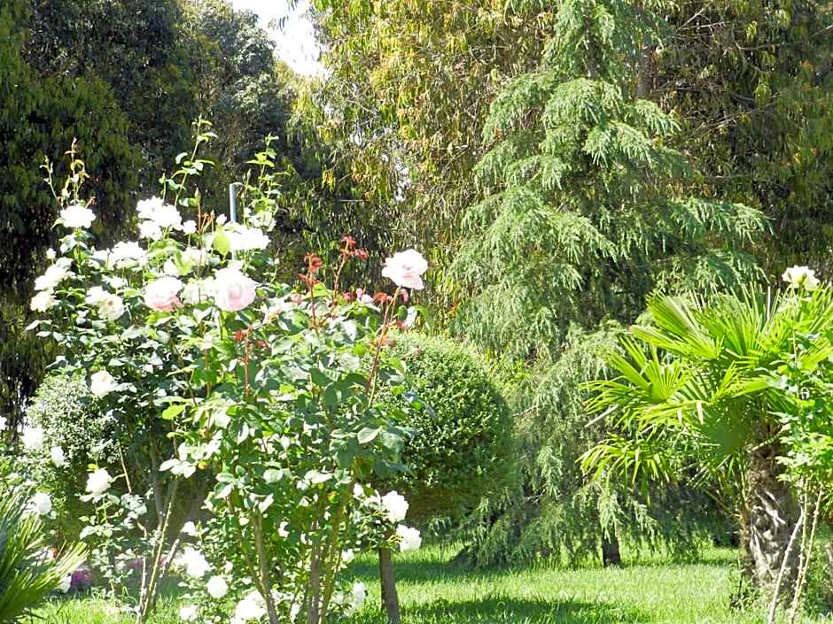 Il Nibbio Reale Country House